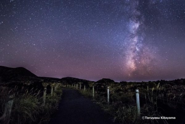 プラネタリウムアイランド・スペシャルクルーズ